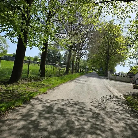 Au Charme De Rachamps - 4 Personnes * Bastogne
