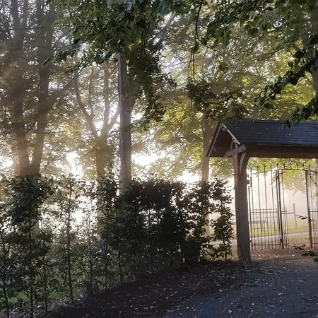 Au Charme De Rachamps - 4 Personnes Chalet *